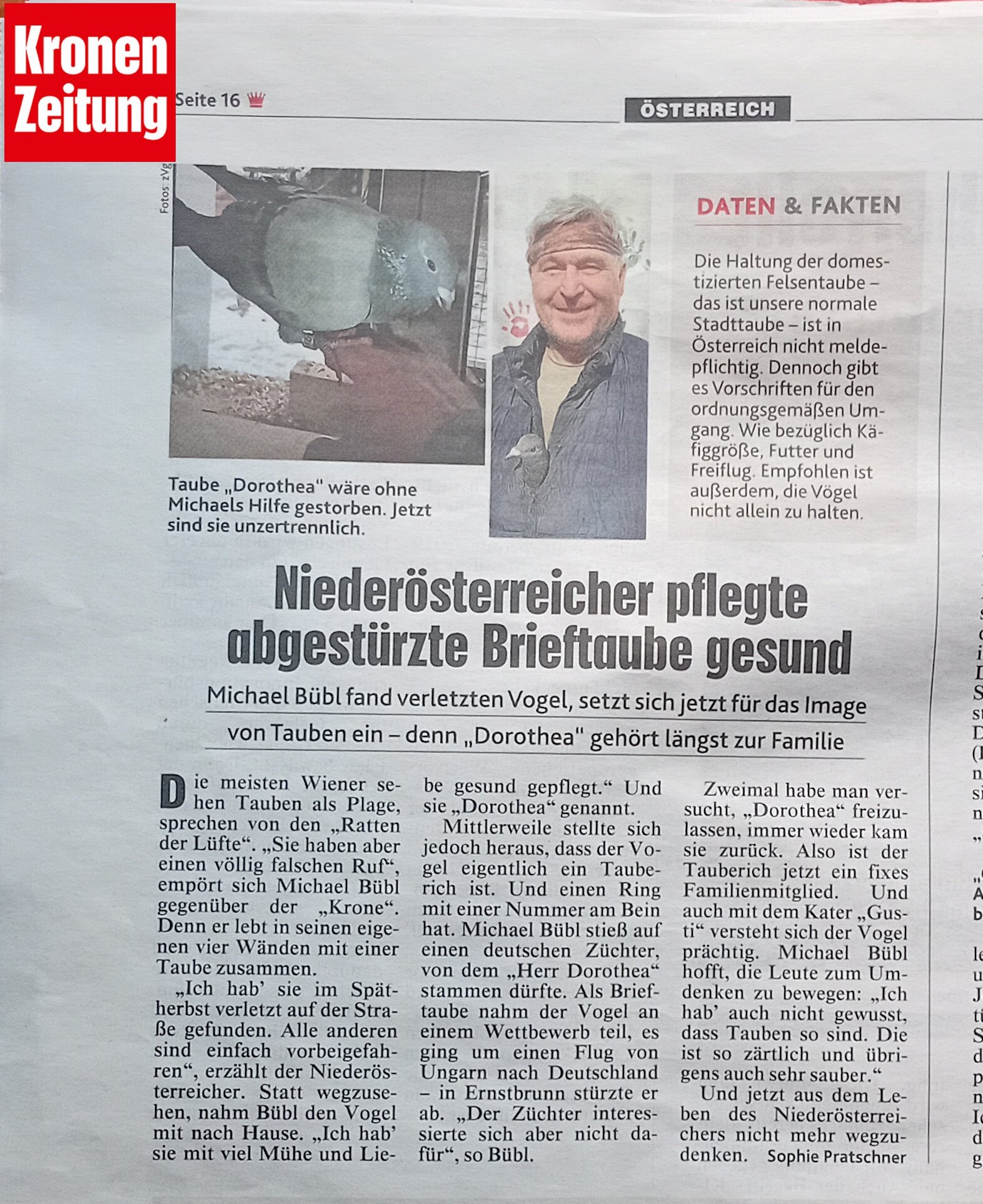 dorothea-krone-print Taube Dorothea in der Kronenzeitung