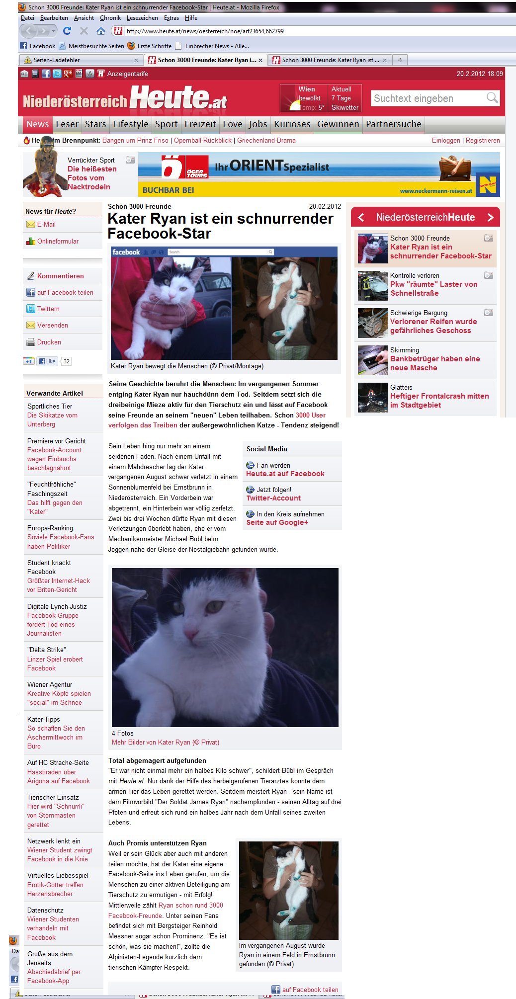 heute-ryan-der-kater1 Die HEUTE berichtet über die Rettung von Ryan durch Michael Bübl