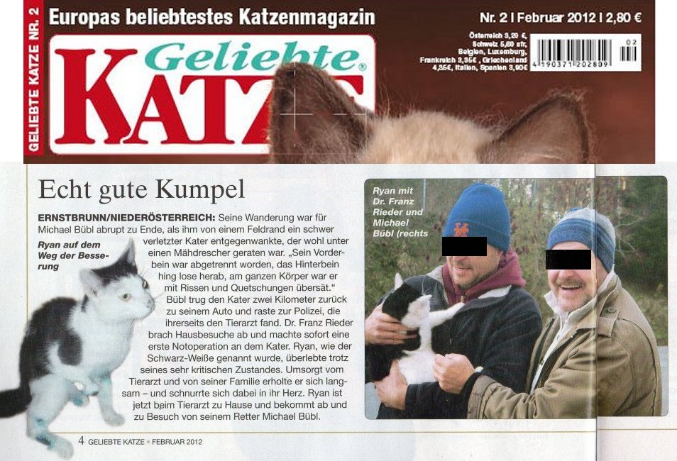 ryan-geliebte-katze1 Michael Bübl mit dem Tierarzt und Ryan in Geliebte Katze
