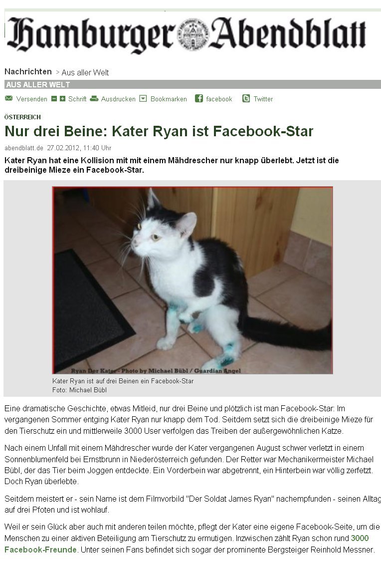 ryan-hamburger-abendblatt1 Das Hamburger Abendblatt berichtet über Ryan der Kater und seinen Retter