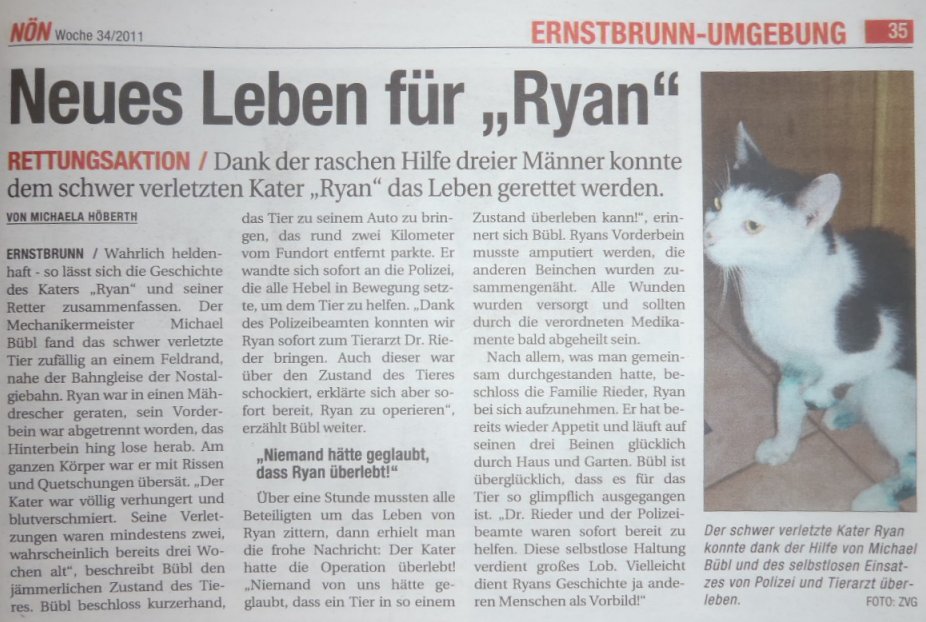 ryan-noen1 Michael Bübl rettet verletzten Kater das Leben - NÖN berichtet