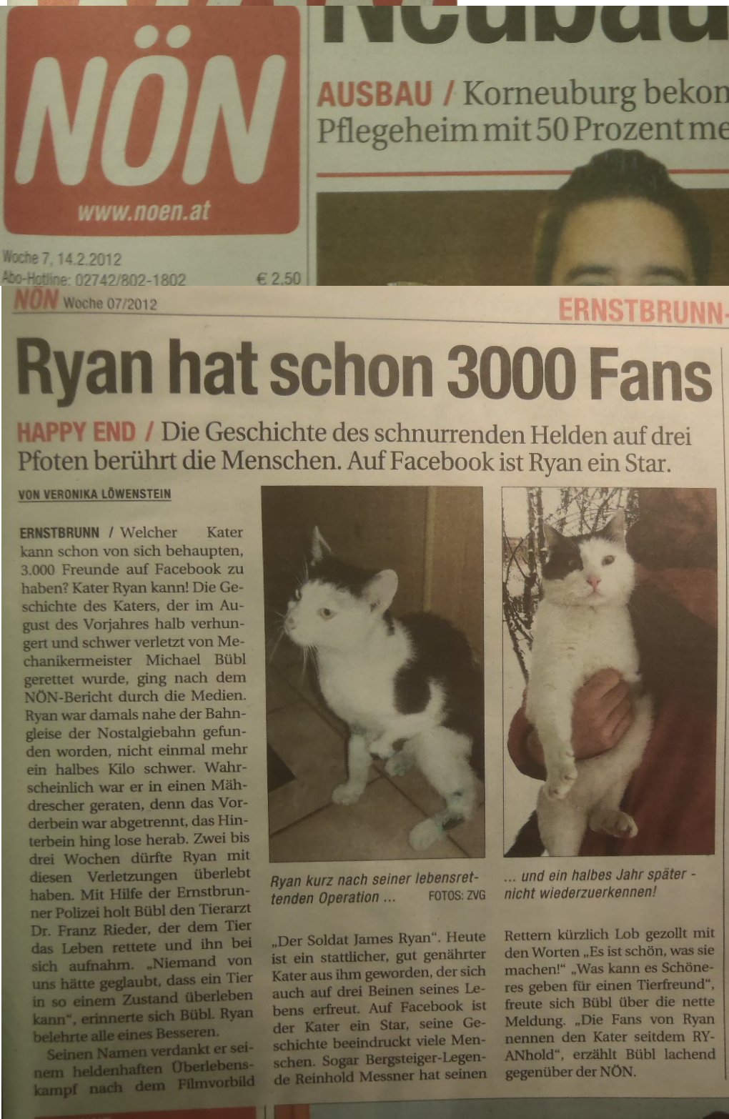 ryan-noen6 Michael Bübl rettete Ryan - 3000 Fans - NÖN berichtet