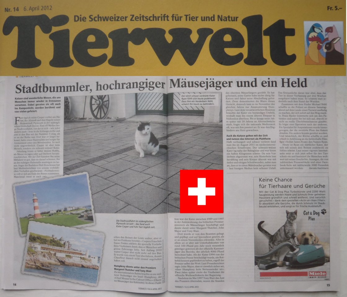 tierwelt-ch-ryan Die Schweizer Zeitung "Tierwelt" berichtet über den geretteten Kater Ryan