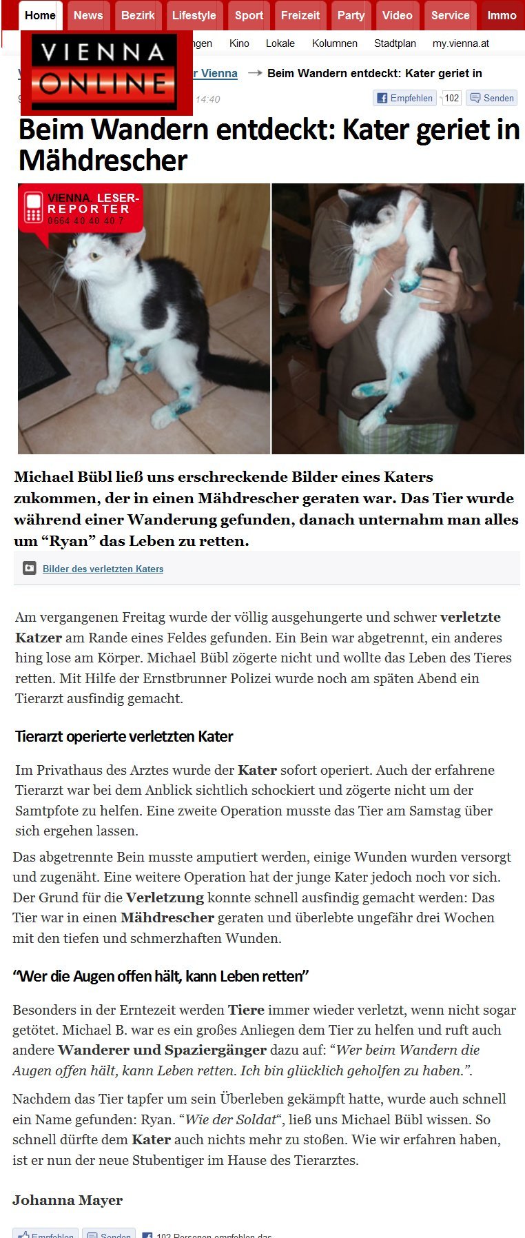 vienna-ryan-der-kater1 Vienna.at berichtet über die Rettung von Ryan Der Kater