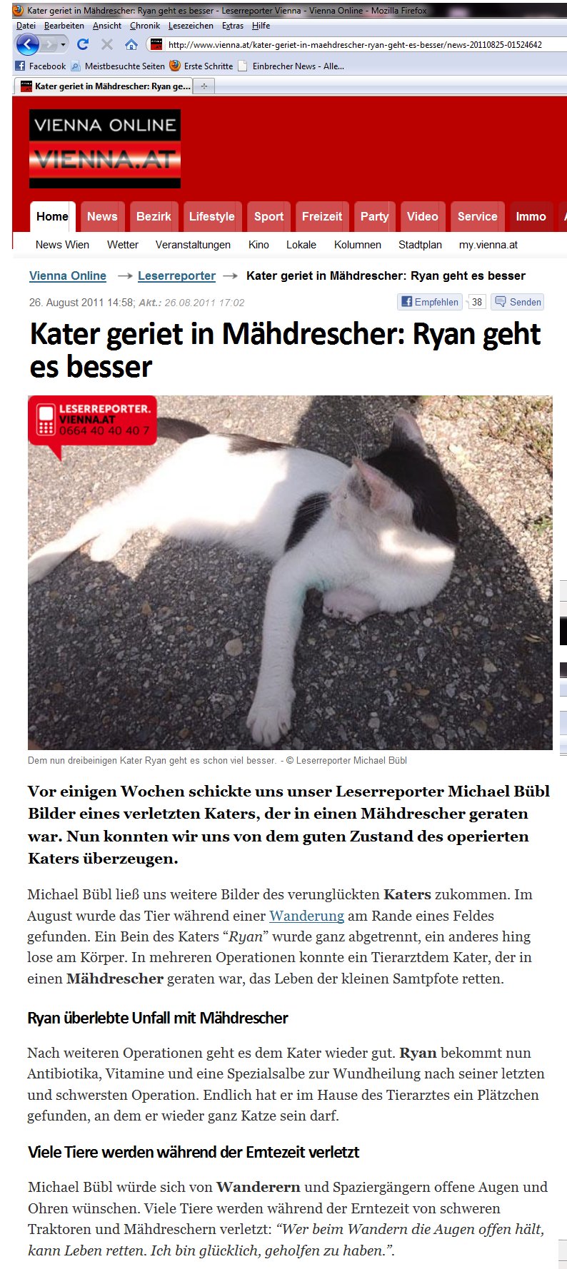 vienna-ryan-der-kater2 Vienna.at berichtet über die Genesung von Ryan