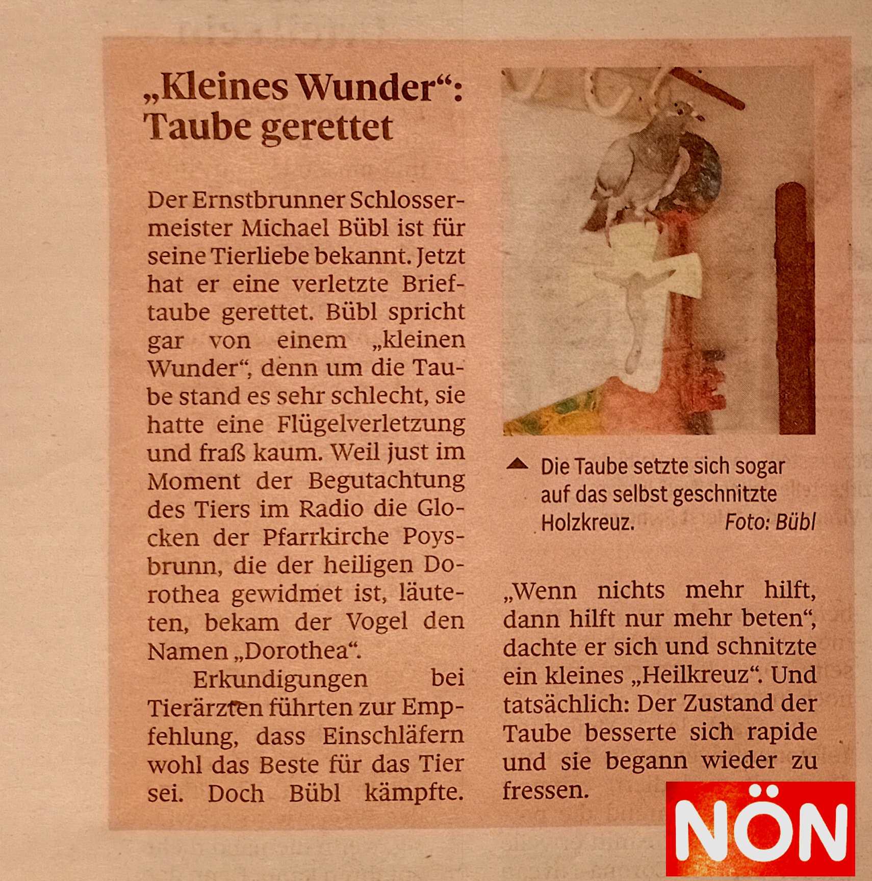 Dorothea taube-noen eins Brieftaube Dorothea in der NÖN über die Wunderheilung mit dem Heilkreuz