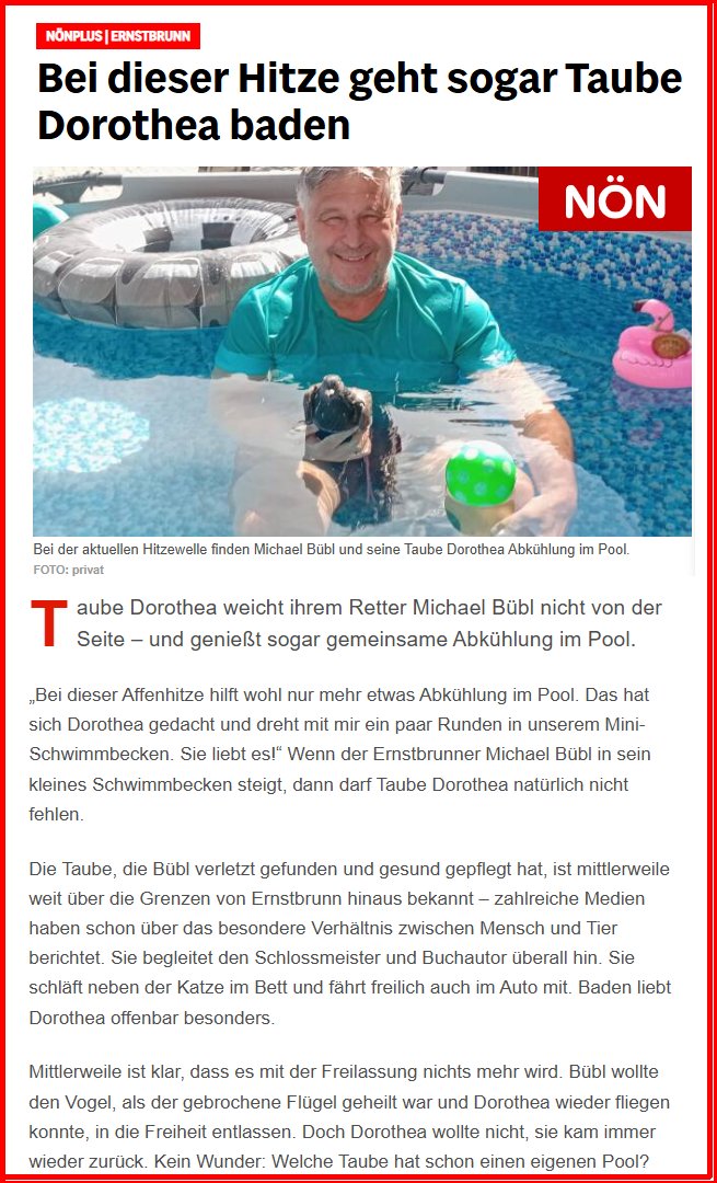 dorothea-noen-pool-online NÖN Online Artikel über Brieftaube Dorothea im Pool