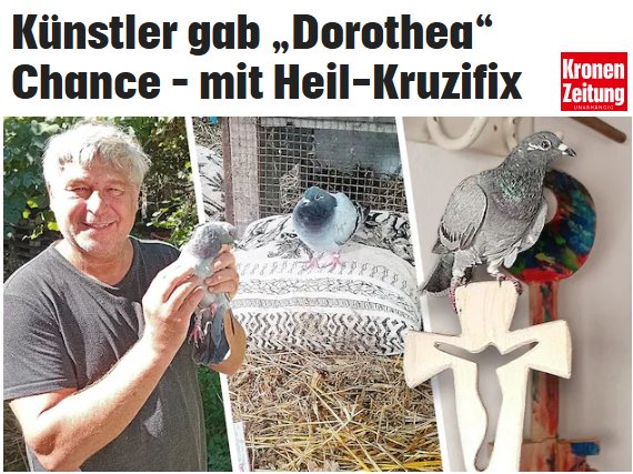 krone-titelseite Eingaseite Dorothea Die Kronenzeitung berichtet über Brieftaube Dorothea und ihre Heilung mit Heilkreuz