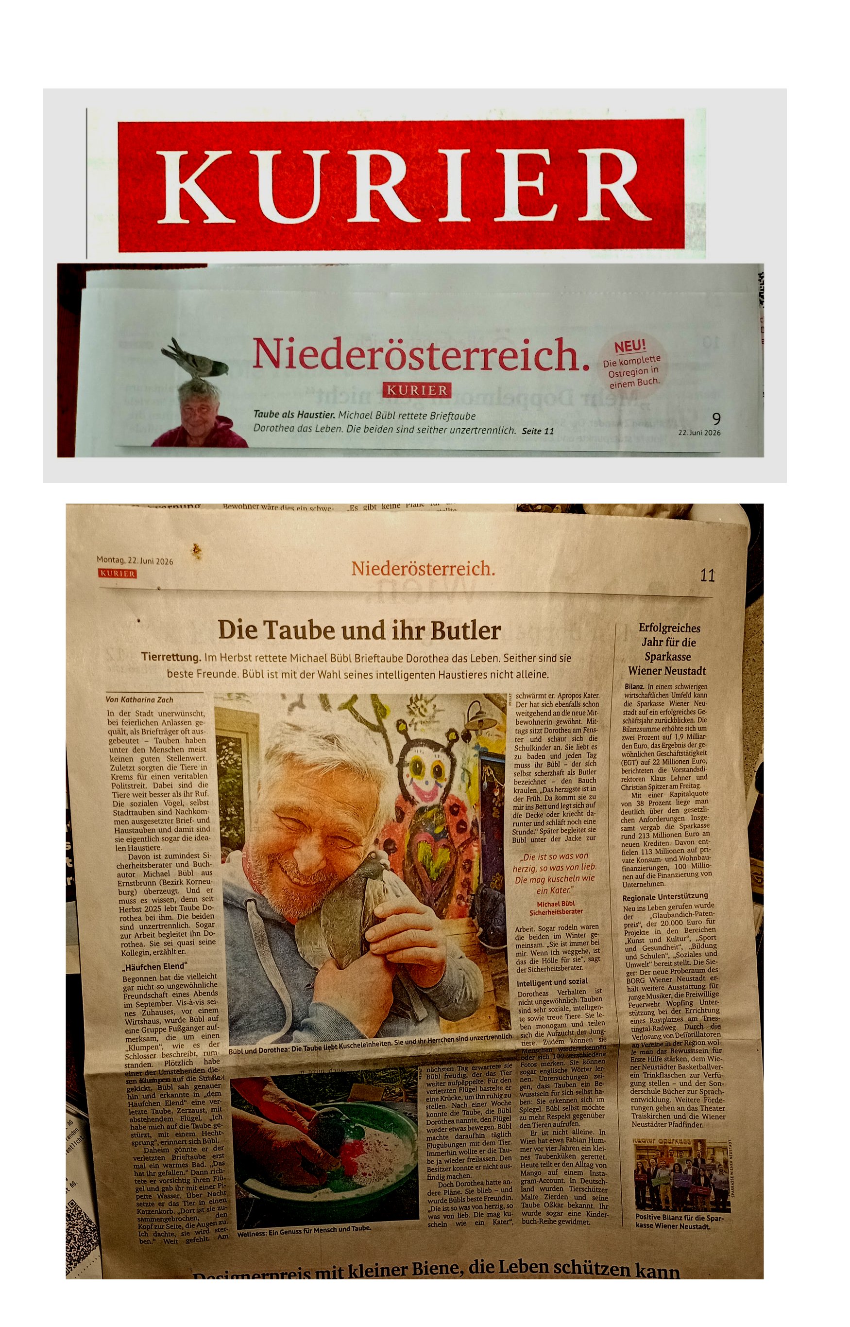 kurier-print Kurier Print ganze Seite Brieftaube Dorothea