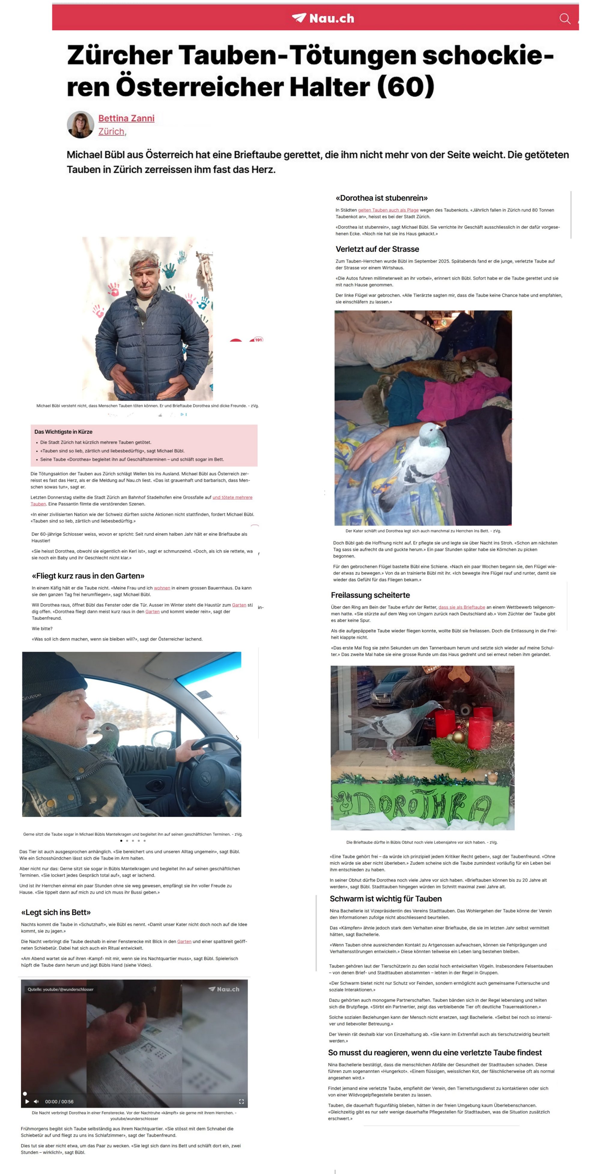 nau-schweiz-dorothea-online Die Schweizer Online Zeitung NAU berichtet über Brieftaube Dorothea