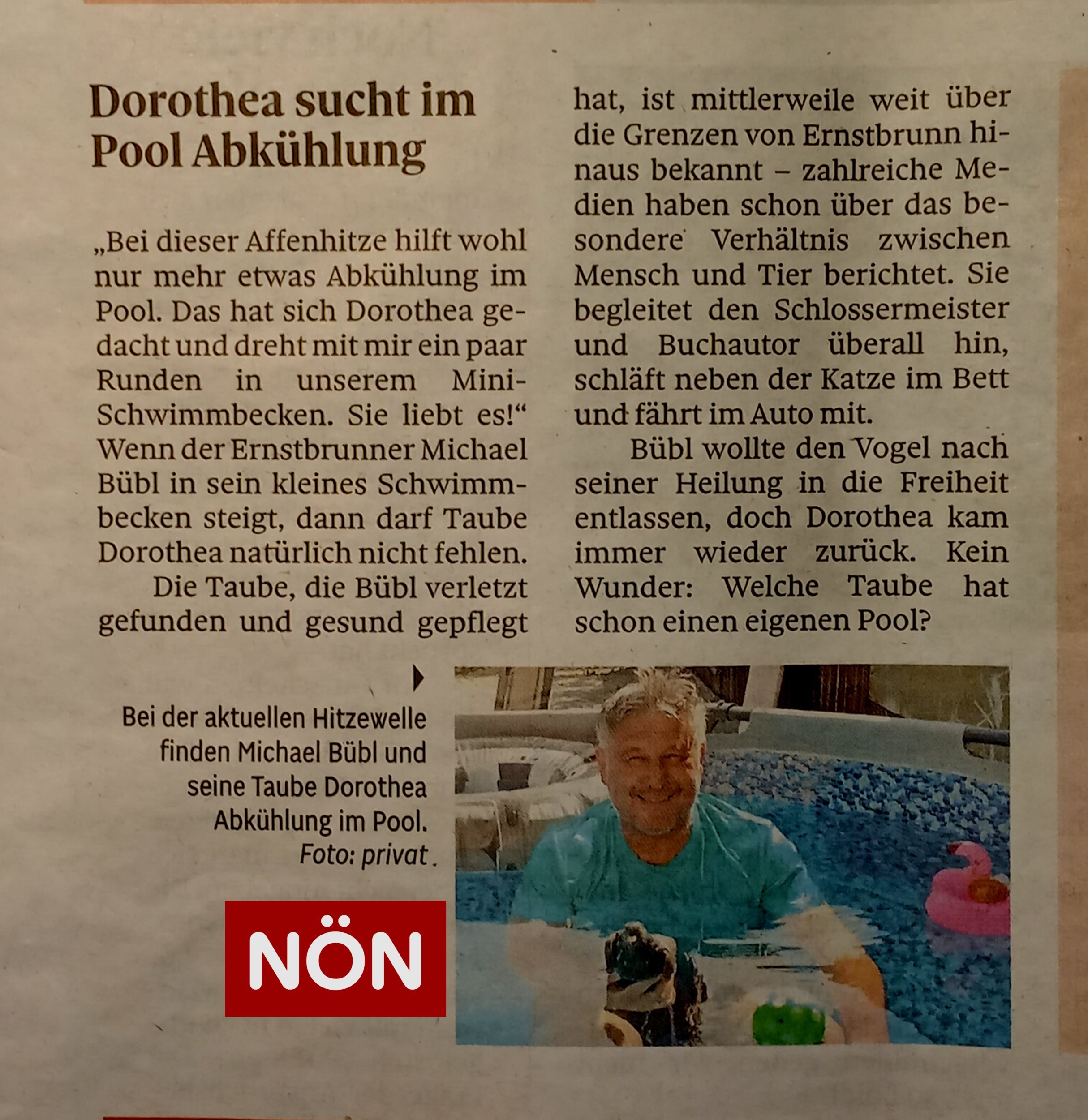 noen-dorothea-pool-print Brieftaube Dorothea im Pool NÖN