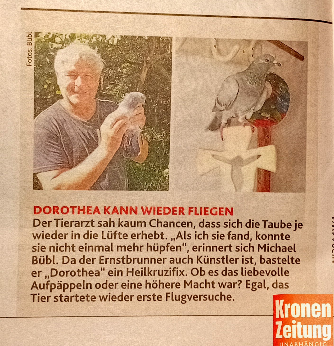 taube-krone-print 1 Dorothea Brieftaube in der Kronenzeitung