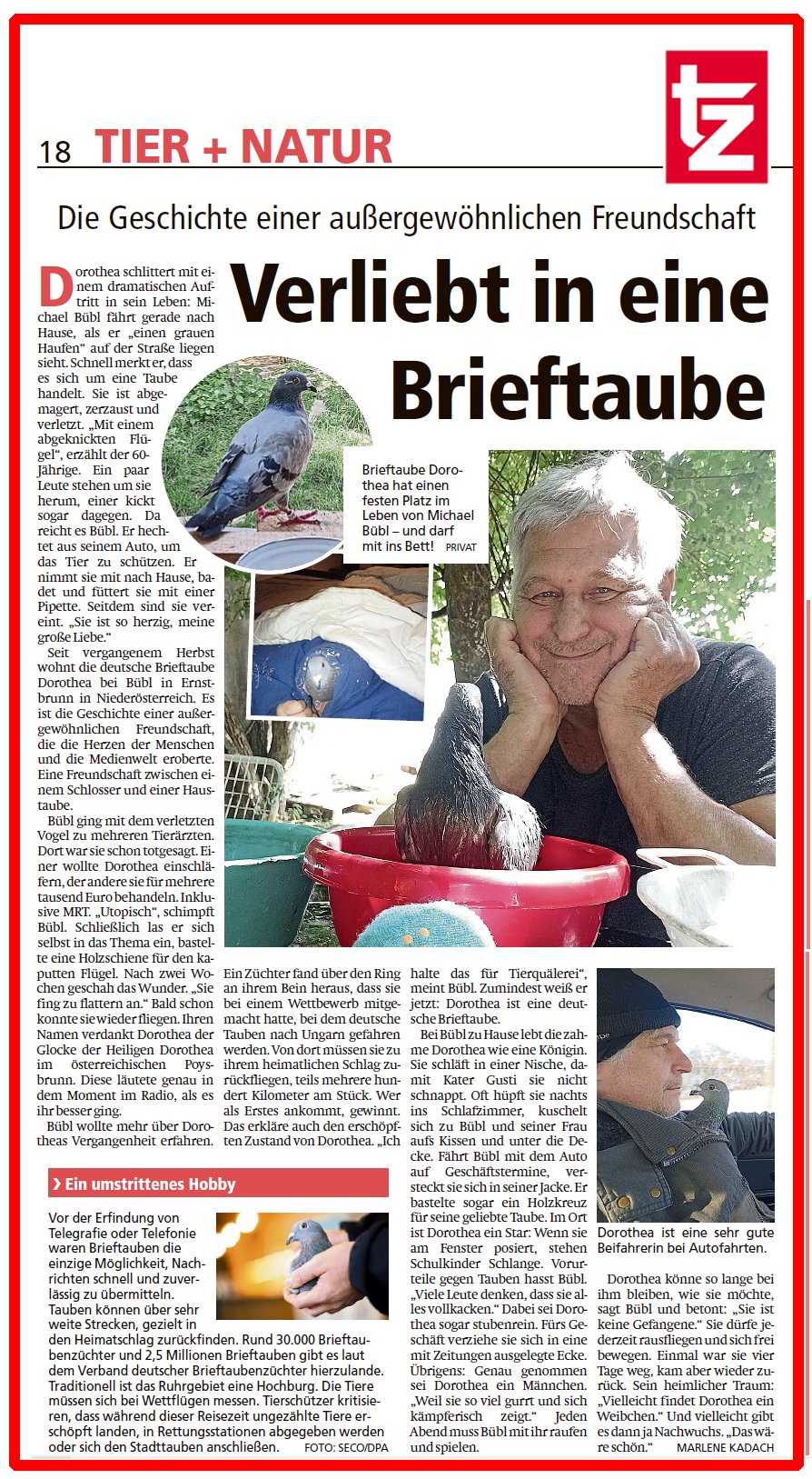 tz-muenchner-tageszeitung-print Münchner Tageszeitung TZ Story über Dorothea